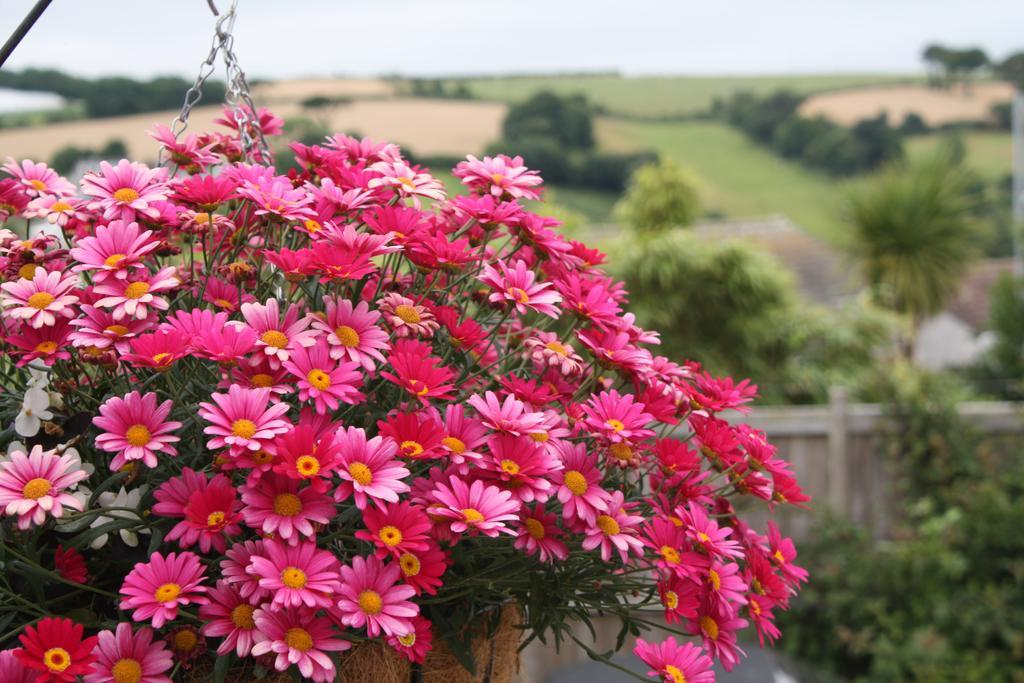 Linton Luxury Holiday Home Mevagissey Exterior foto