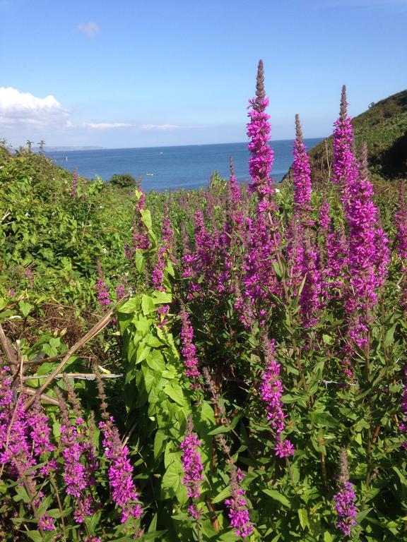 Linton Luxury Holiday Home Mevagissey Exterior foto